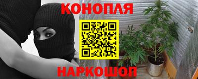 кокс Рязань