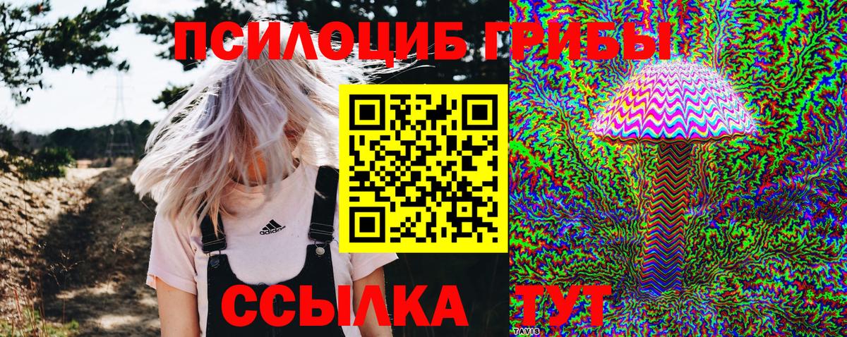 магазин продажи   Вход с VPN  Балтийск  Псилоцибиновые грибы GOLDEN TEACHER 