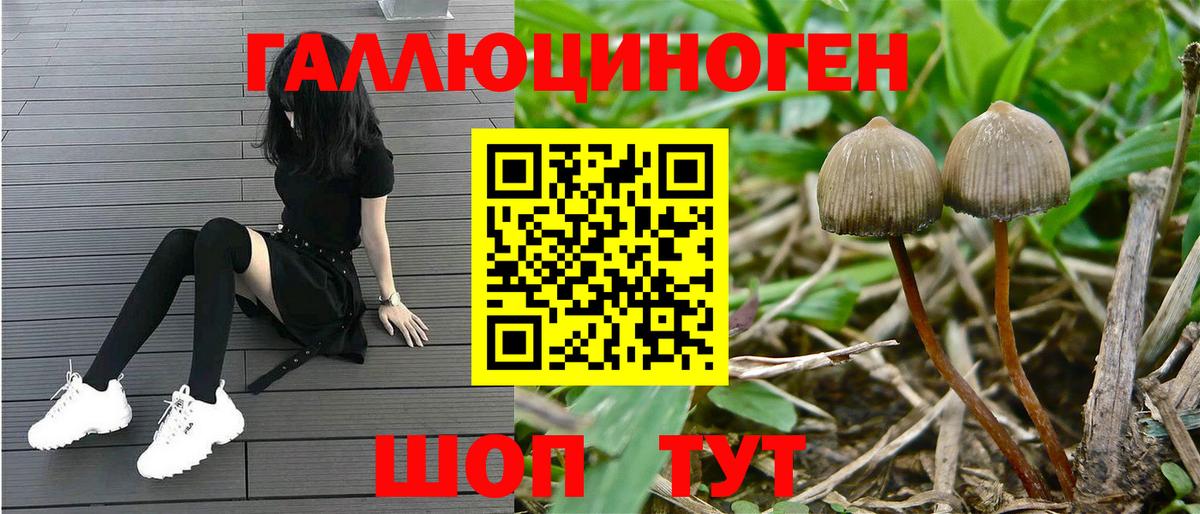 Псилоцибиновые грибы Magic Shrooms Балтийск